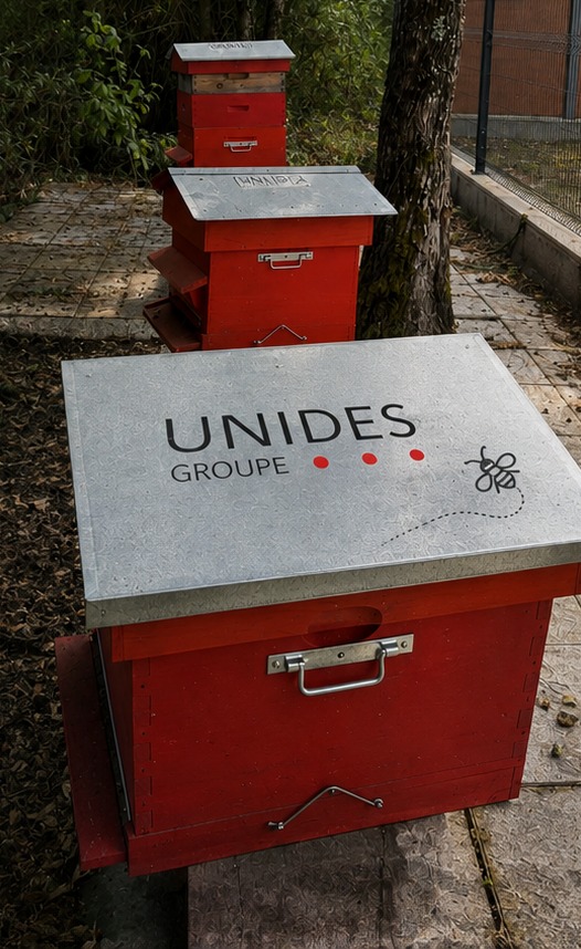 Ruches UNIDES présentées dans la documentation du groupe